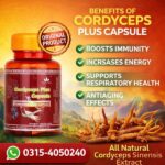 Cordyceps Plus Capsule In Pakistan